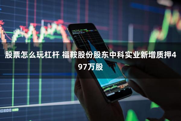 股票怎么玩杠杆 福鞍股份股东中科实业新增质押497万股