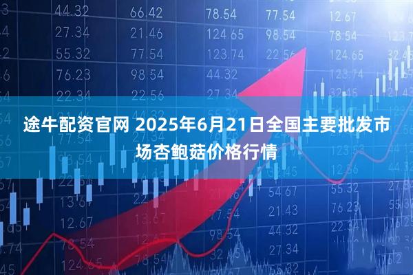 途牛配资官网 2025年6月21日全国主要批发市场杏鲍菇价格行情