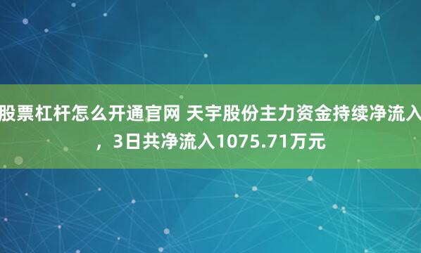 股票杠杆怎么开通官网 天宇股份主力资金持续净流入，3日共净流入1075.71万元