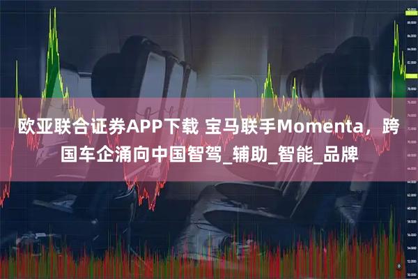 欧亚联合证券APP下载 宝马联手Momenta，跨国车企涌向中国智驾_辅助_智能_品牌