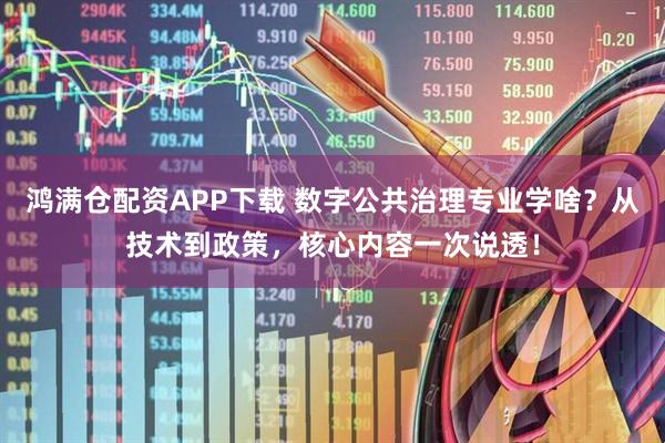 鸿满仓配资APP下载 数字公共治理专业学啥？从技术到政策，核心内容一次说透！