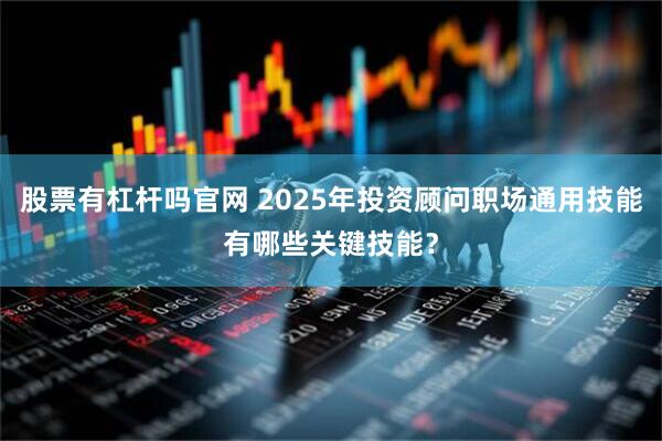股票有杠杆吗官网 2025年投资顾问职场通用技能有哪些关键技能?