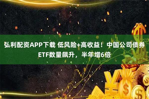 弘利配资APP下载 低风险+高收益！中国公司债券ETF数量飙升，半年增6倍