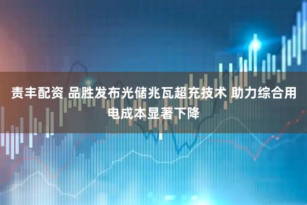 责丰配资 品胜发布光储兆瓦超充技术 助力综合用电成本显著下降